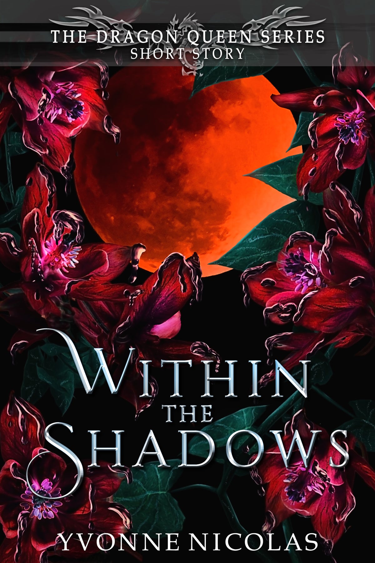 Within the Shadows (Short Story - Dragon Queen Series) Ebook